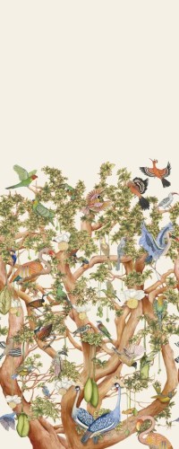 Mural egzotyczne ptaki na drzewie Cole & Son x Ardmore Tree of Life 129/1002 Baobab