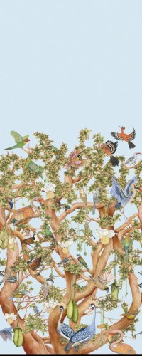 Mural egzotyczne ptaki na drzewie Cole & Son x Ardmore Tree of Life 129/1003 Baobab