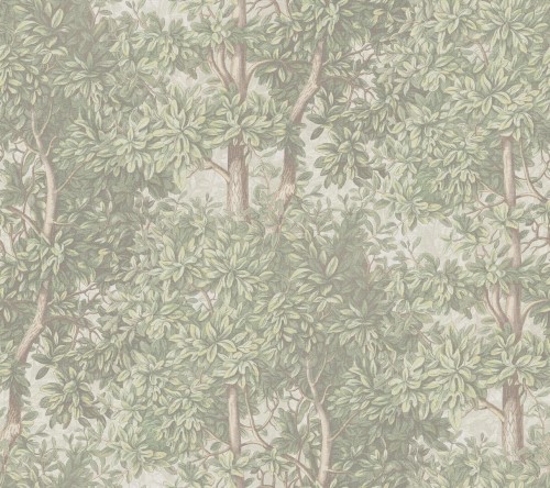 Fototapeta drzewa Sandberg S10712 Charles Light Green Familjen