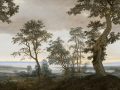 Mural krajobraz natury Eijffinger 351290 Mauritshuis