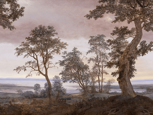 Mural krajobraz natury Eijffinger 351291 Mauritshuis