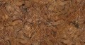 Fototapeta tropikalne liście Muance MU16029 Desert Palms Ivory