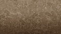 Fototapeta botaniczna Muance MU16048 Breeze Ivory