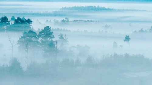 Mural mglisty krajobraz Boras Tapeter Studio 9779W Dimhav Marie Mattsson