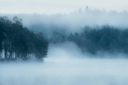 Mural mglisty krajobraz Boras Tapeter Studio 9780W Delsjon Marie Mattsson