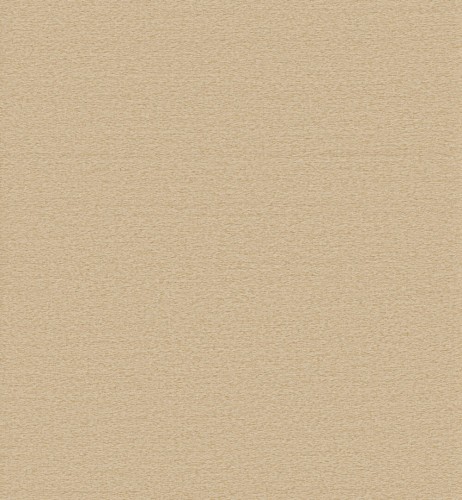 Tapeta minimalistyczna Omexco OAS264 Selva Oase