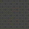 Tapeta heksagony Caselio 107139921 Hexaline Moonlight III