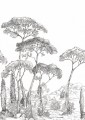 Mural krajobraz sosnowego lasu Caselio 107290903 M Forest of Pineas Moonlight III