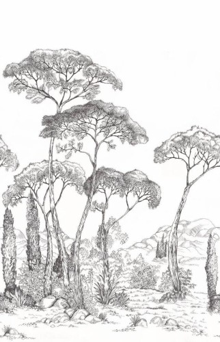 Mural krajobraz sosnowego lasu Caselio 107290904 L Forest of Pineas Moonlight III