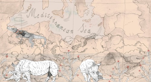 Fototapeta mapa i egzotyczne zwierzęta Wall&Deco WDBO2602 Borders Contemporary 2026