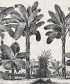 Fototapeta bananowce Rebel Walls R20890 Timeless Tropics Eden Escape