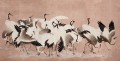 fototapeta tańczące żurawie Rebel Walls R20902 Dancing Cranes Eden Escape