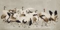 fototapeta tańczące żurawie Rebel Walls R20904 Dancing Cranes Eden Escape