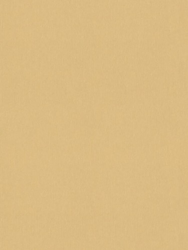 Tapeta prążkowane płótno złota Versace 34327-5 Versace VI