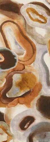 Mural abstrakcyjny o miękkich, organicznych formach Masureel DGERO3014 Acharius Erosion