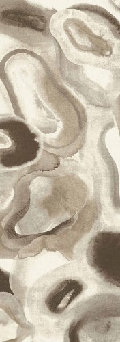 Mural abstrakcyjny o miękkich, organicznych formach Masureel DGERO3024 Acharius Erosion