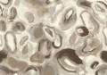 Mural abstrakcyjny o miękkich, organicznych formach Masureel DGERO3024 Acharius Erosion
