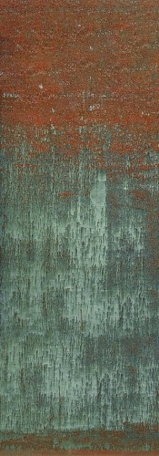 Mural w stylu loftowej rdzy Masureel DGERO4011 Corrosion Erosion
