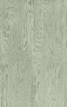 Fototapeta słoje drewna Rebel Walls R21124 Wood Shades Green Modern Simplicity