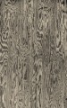 Fototapeta słoje drewna Rebel Walls R21125 Wood Shades Gray Modern Simplicity
