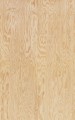 Fototapeta słoje drewna Rebel Walls R21128 Wood Shades Pine Wood Modern Simplicity