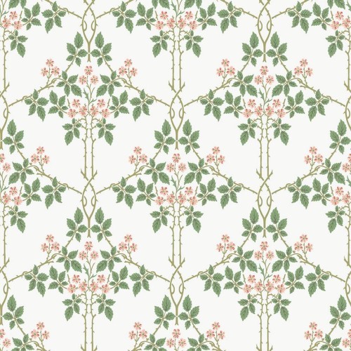 Tapeta roślinna Midbec 82054 Blackberry Hidden Treasures vol 2