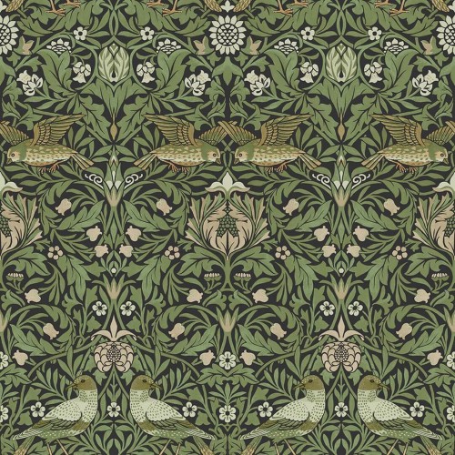 Tapeta botaniczna ptaki Midbec 82063 Bird Hidden Treasures vol 2