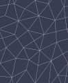 Tapeta nieregularna siatka geometryczna Wallquest GM31202 Geometry