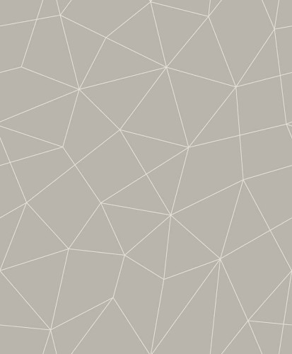 Tapeta nieregularna siatka geometryczna Wallquest GM31208 Geometry