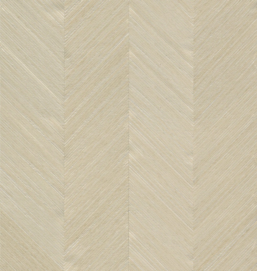 4e6523fdf5b3e506a9ff4c9feb621964