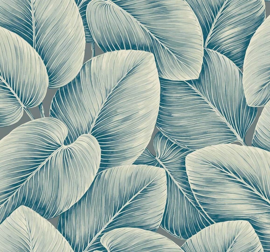 ca4d71e06fc91396f2c0844bc19e7aa7
