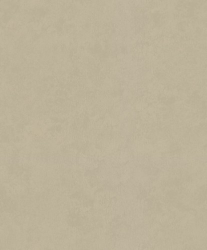 Tapeta na bazie gliny imitująca beton Marburg 34629 Terra