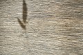 Tapeta naturalna grasscloth CMO Paris WAB 14 70 Crin de Soie Mural Natural Essence 2