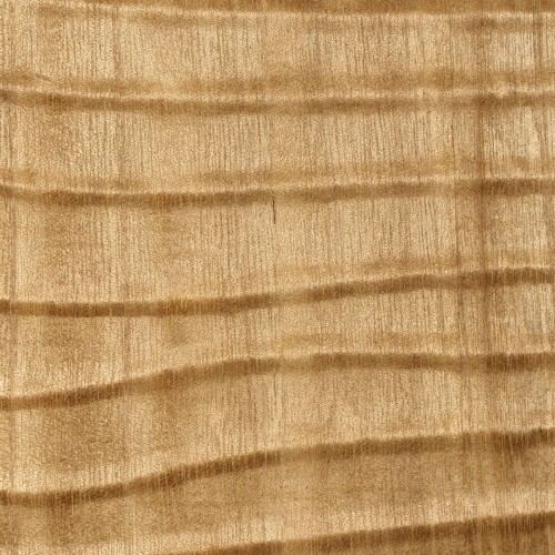 Mural naturalny fornir - falujące linie CMO Paris WBO 09 20 Dunes Wood Wallcovering 2