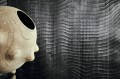 Mural naturalny fornir - falujące linie CMO Paris WBO 09 80 Dunes Wood Wallcovering 2