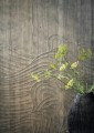 Mural naturalny fornir - falujące linie CMO Paris WBO 10 86 Ressac Wood Wallcovering 2