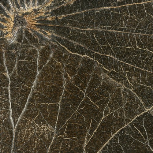Tapeta naturalna z liści lilii wodnej CMO Paris WNE 02 68 Nénuphar Sauvage Wild Nature
