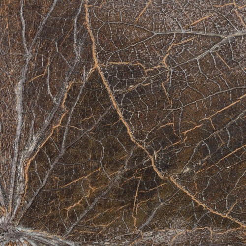Tapeta naturalna z liści lilii wodnej CMO Paris WNE 02 75 Nénuphar Sauvage Wild Nature