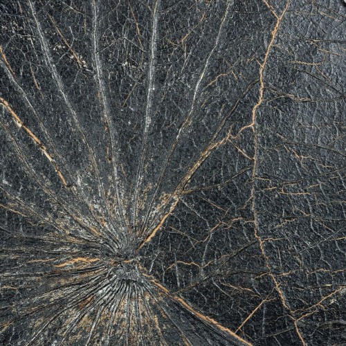 Tapeta naturalna z liści lilii wodnej CMO Paris WNE 02 80 Nénuphar Sauvage Wild Nature