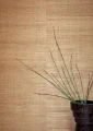 Tapeta naturalna z włókien abaki - pleciony wzór CMO Paris WAB 11 10 Abaca Herbacé Abaca Wallcovering