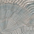 Tapeta wachlarze / muszle Elitis RM 1118 40 Calyptra Écume