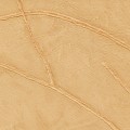 Tapeta winylowa minimalistyczna Elitis VP 1004 12 Kintsugi