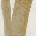 Mural wodorosty na tynku Elitis VP 1005 01 Algues Dorées Kintsugi