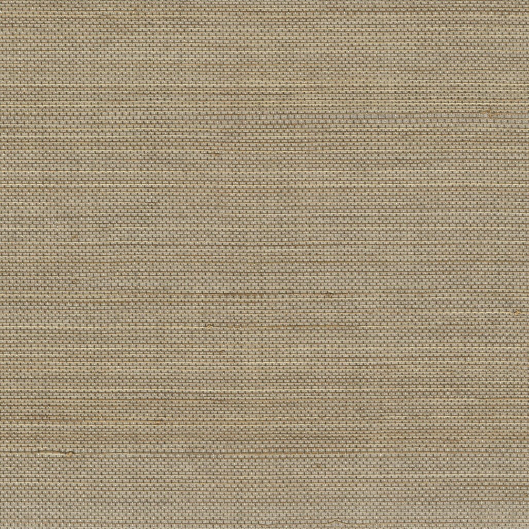 e2c46ae807576049e416b77ac342a162