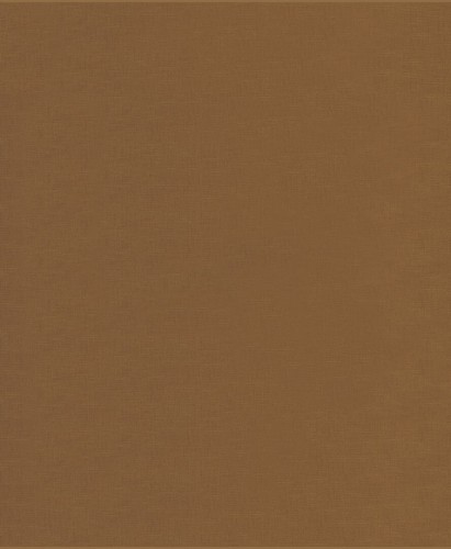 Tkanina dekoracyjna Camengo 40547409 Bruges 3 - 298 cm szer.