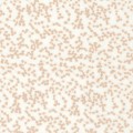 Tkanina haftowane kropki Camengo 48550376 Aleora Moon Sheers - 284 cm szer.