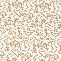 Tkanina haftowane kropki Camengo 48550541 Aleora Moon Sheers - 284 cm szer.