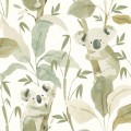 Tapeta misie koala Cristiana Masi 4439 Momi