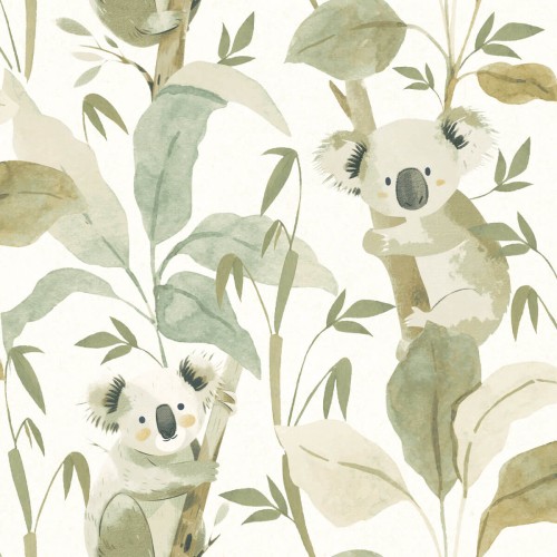 Tapeta misie koala Cristiana Masi 4439 Momi