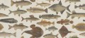 Fototapeta ryby Sandberg S10728 Scandinavian Fishes Beige Heritage